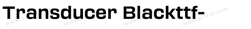 Transducer Blackttf字体转换 Transducer Blackttf字体转换